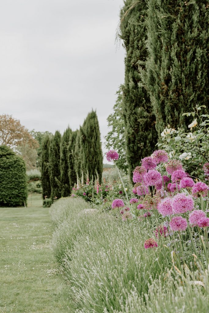 Film and Photography shoots