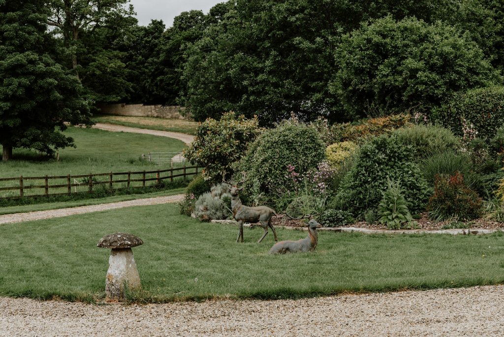 Film and Photography shoots